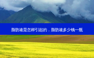 脂肪液是怎样引起的，脂肪液多少钱一瓶