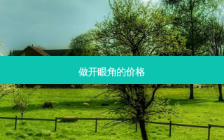 做开眼角的价格