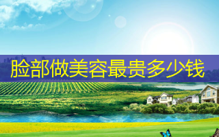 脸部做美容贵多少钱