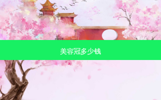 美容冠多少钱