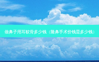 做鼻子用耳软骨多少钱（隆鼻手术价钱是多少钱）