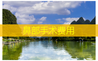 鼻部手术费用