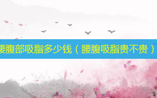 腰腹部吸脂多少钱（腰腹吸脂贵不贵）