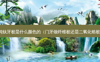 纯钛牙桩是什么颜色的（门牙做纤维桩还是二氧化锆桩）