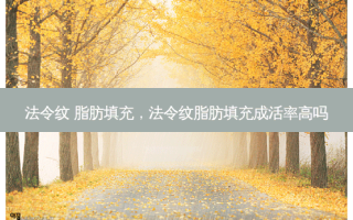 法令纹 脂肪填充，法令纹脂肪填充成活率高吗