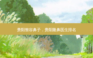 贵阳整容鼻子，贵阳隆鼻医生排名
