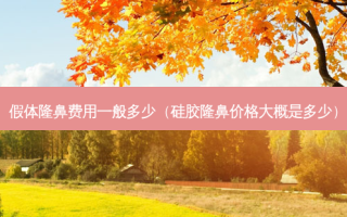假体隆鼻费用一般多少（硅胶隆鼻价格大概是多少）