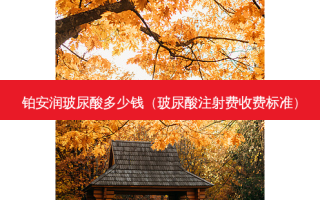 铂安润玻尿酸多少钱（玻尿酸注射费收费标准）