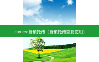 carriere自锁托槽（自锁托槽重复使用）