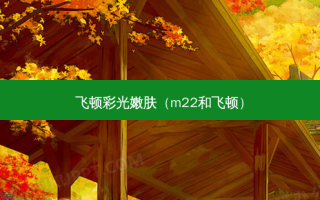飞顿彩光嫩肤（m22和飞顿）