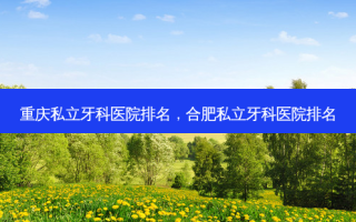 重庆私立牙科医院排名，合肥私立牙科医院排名