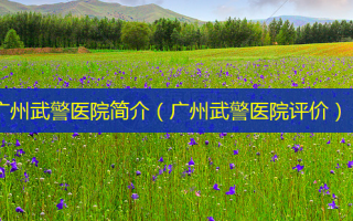 广州武警医院简介（广州武警医院评价）