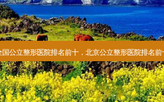 全国公立整形医院排名前十，北京公立整形医院排名前十