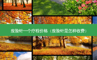 瘦脸针一个疗程价格（瘦脸针是怎样收费）