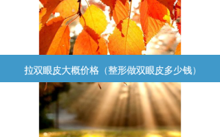 拉双眼皮大概价格（整形做双眼皮多少钱）