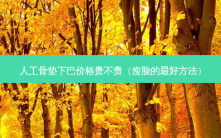 人工骨垫下巴价格贵不贵（瘦脸的好 *** ）