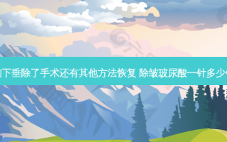 胸下垂除了手术还有其他 *** 恢复 除皱玻尿酸一针多少钱