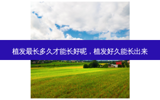 植发长多久才能长好呢，植发好久能长出来