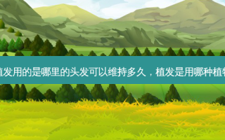 植发用的是哪里的头发可以维持多久，植发是用哪种植物