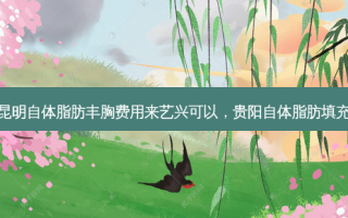 昆明自体脂肪丰胸费用来艺兴可以，贵阳自体脂肪填充