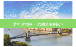 手术刀片价格（刀划哪里痛感小）