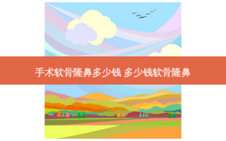 手术软骨隆鼻多少钱 多少钱软骨隆鼻