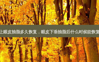 上眼皮抽脂多久恢复，眼皮下垂抽脂后什么时候能恢复