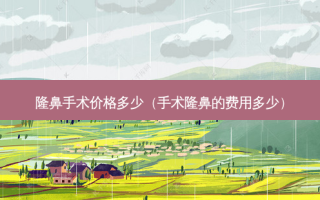 隆鼻手术价格多少（手术隆鼻的费用多少）