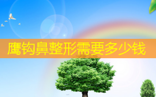 鹰钩鼻整形需要多少钱