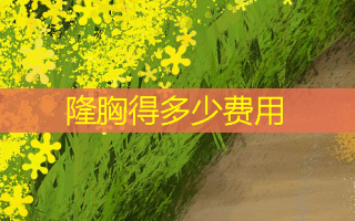 隆胸得多少费用