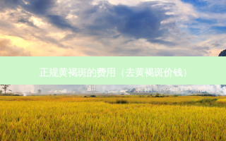 正规黄褐斑的费用（去黄褐斑价钱）