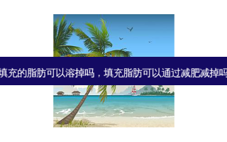 填充的脂肪可以溶掉吗，填充脂肪可以通过减肥减掉吗