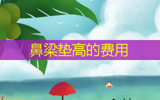 鼻梁垫高的费用