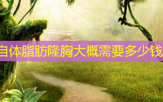 自体脂肪隆胸大概需要多少钱
