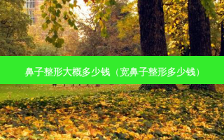 鼻子整形大概多少钱（宽鼻子整形多少钱）