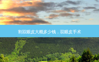 割双眼皮大概多少钱，双眼皮手术