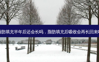 脂肪填充半年后还会长吗，脂肪填充后吸收会再长回来吗