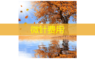 微针费用