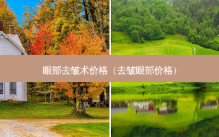眼部去皱术价格（去皱眼部价格）