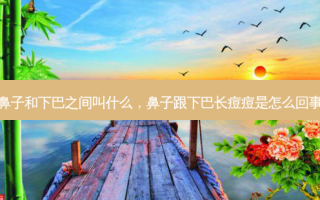 鼻子和下巴之间叫什么，鼻子跟下巴长痘痘是怎么回事