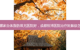 成都哪家自体脂肪填充医院好，成都恒博医院治疗妊娠纹怎么样