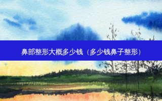 鼻部整形大概多少钱（多少钱鼻子整形）