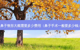 鼻子整形大概需要多少费用（鼻子手术一般要多少钱）