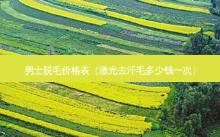 男士脱毛价格表（激光去汗毛多少钱一次）