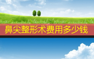 鼻尖整形术费用多少钱