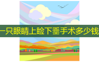 一只眼睛上睑下垂手术多少钱