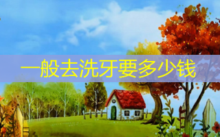 一般去洗牙要多少钱