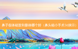 鼻子假体硅胶和膨体哪个好（鼻头缩小手术3d演示）