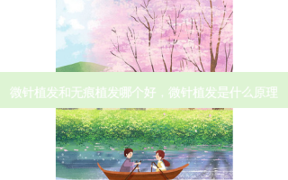 微针植发和无痕植发哪个好，微针植发是什么原理
