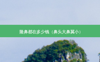 隆鼻都在多少钱（鼻头大鼻翼小）
